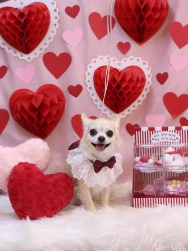 20240215ミルクちゃん